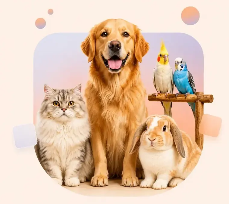 Dog, cat, rabbit, cockatiel and budgie together, the pets Glan Paws grooms in Dubai